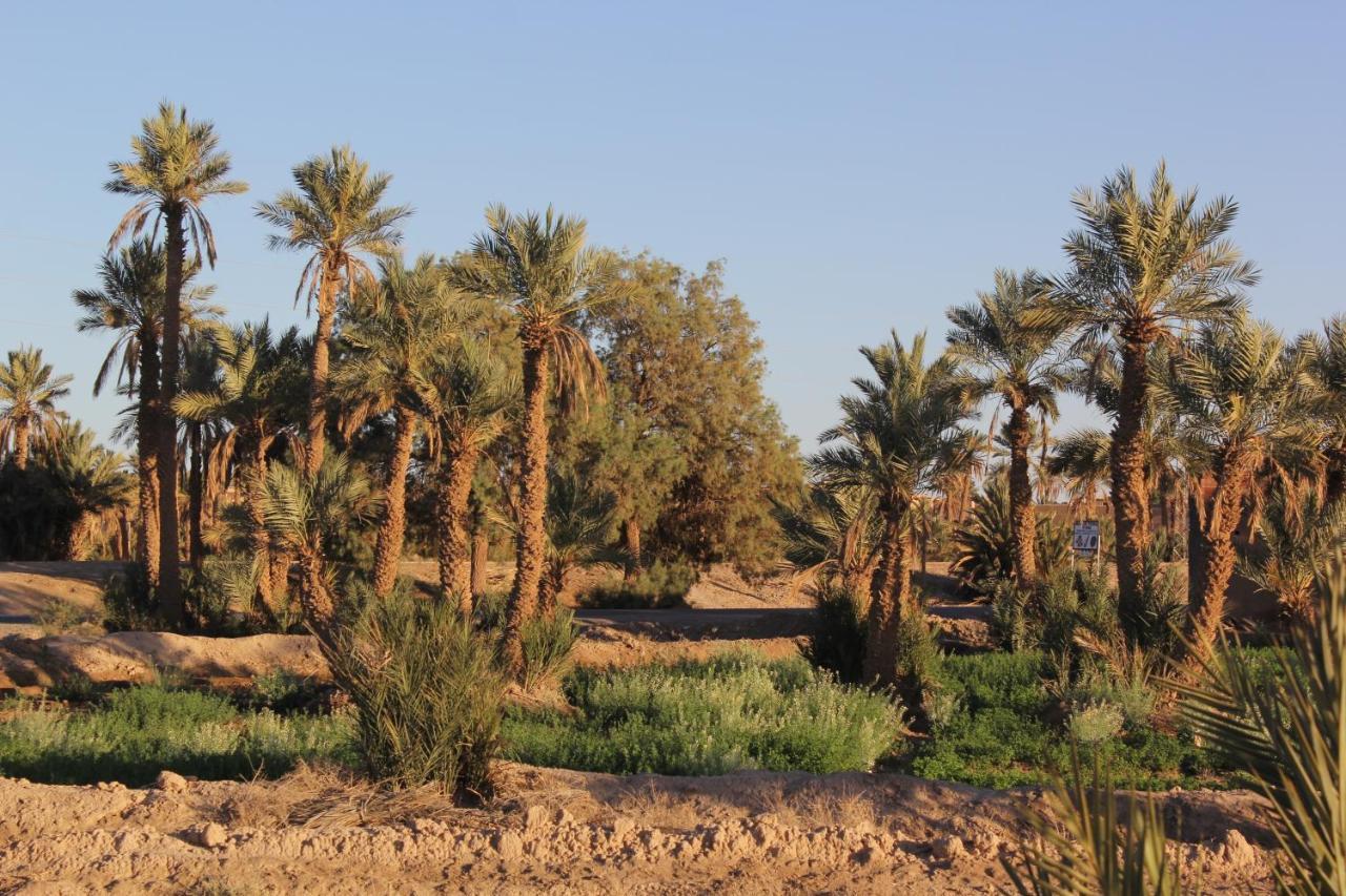 Palais Du Desert Hotel & Spa Erfoud Exterior photo